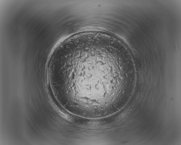 X0000058111371200509231015