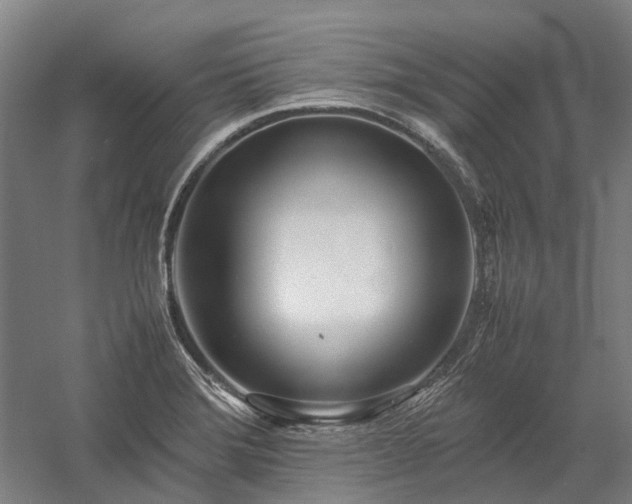 X0000058111372200509231015