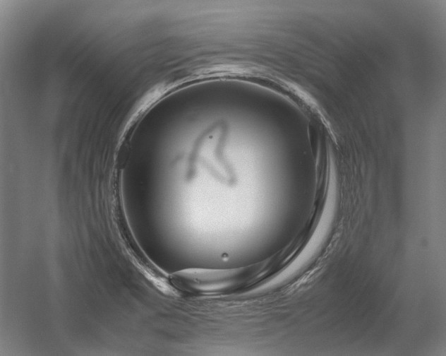 X0000058111373200509231015