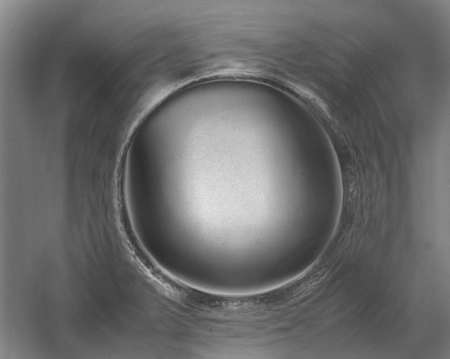 X0000058111375200509231015