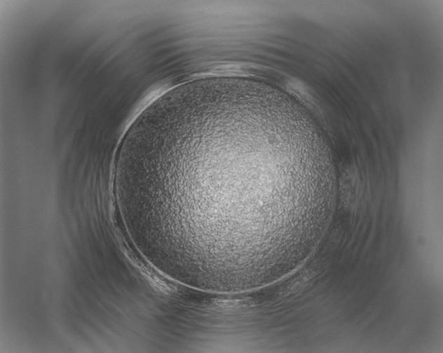 X0000058111378200509231015