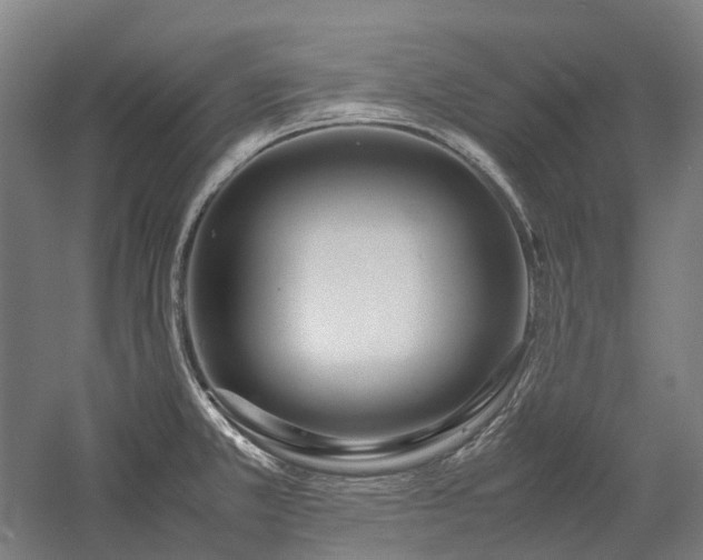 X0000058111381200509231015