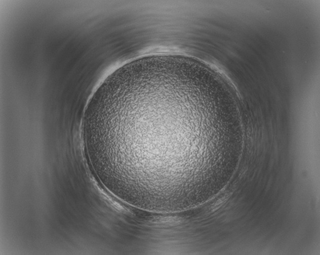 X0000058111382200509231015