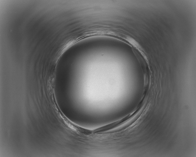 X0000058111385200509231014