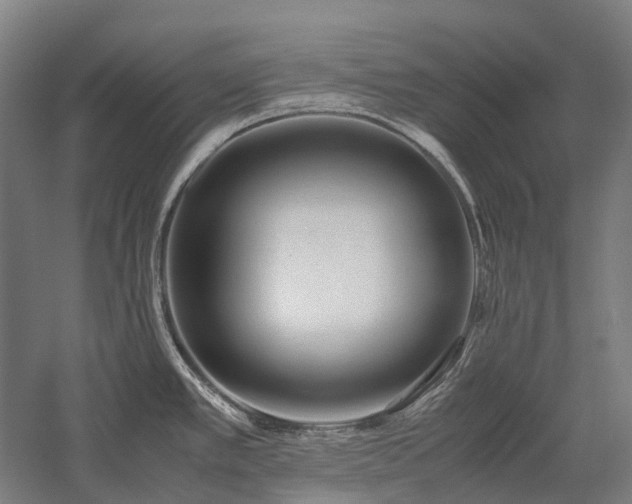X0000058111389200509231014