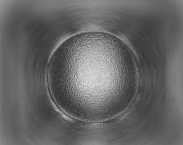 X0000058111390200509231014