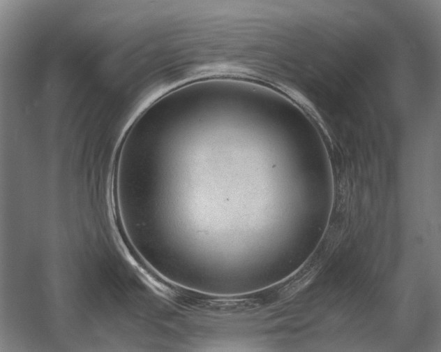 X0000058111391200509231014