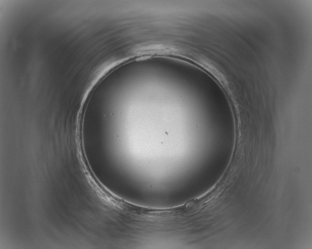 X0000058111392200509231014