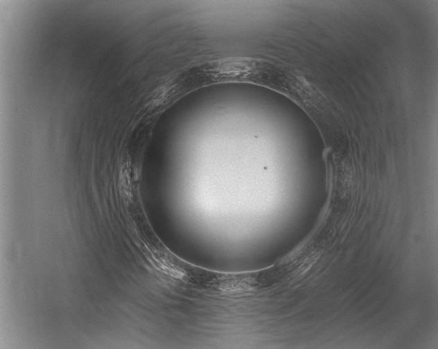 X0000058111394200509231014