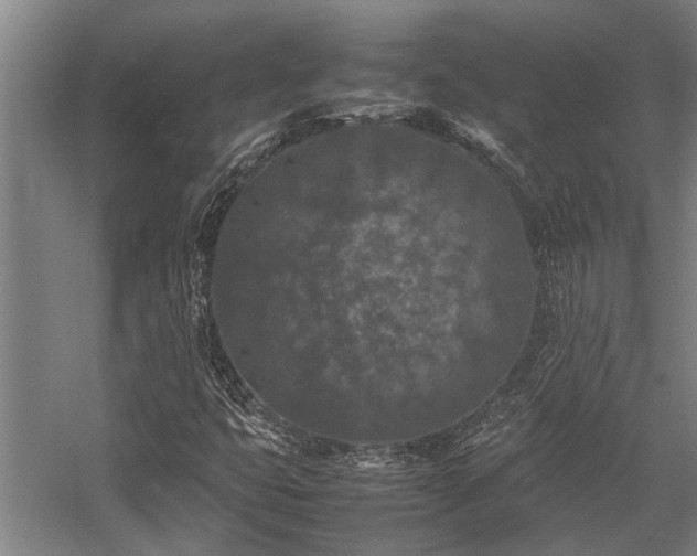 X0000058111399200509231014