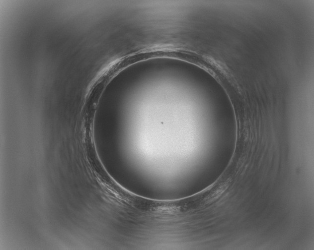 X0000058111406200509231014