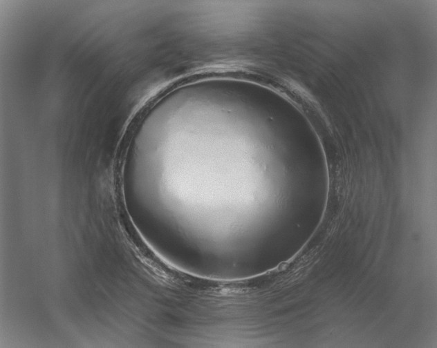 X0000058111412200509231014