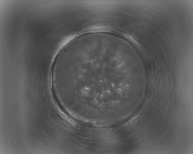 X0000058111413200509231014