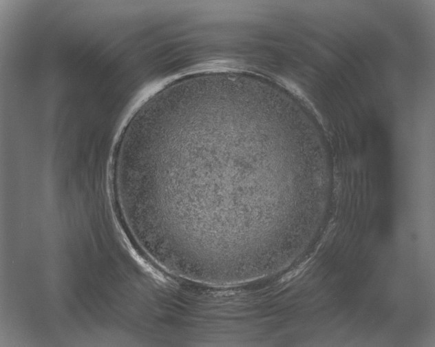 X0000058111421200509231014