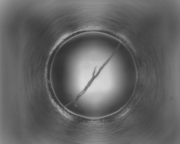 X0000058111422200509231014