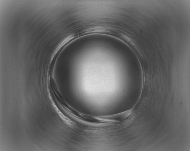 X0000058111426200509231014