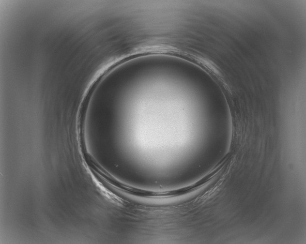X0000058111430200509231014