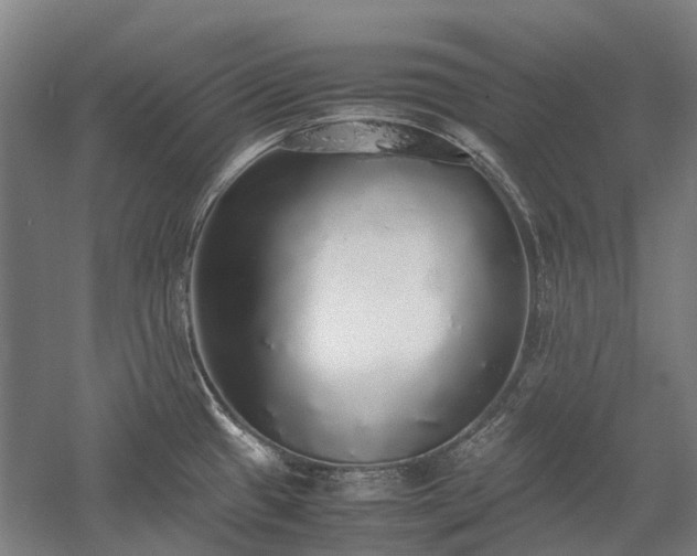 X0000058111433200509231014