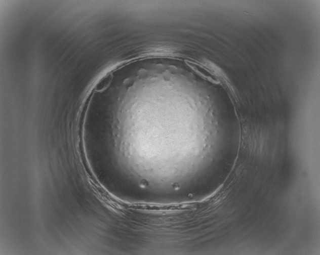 X0000058111435200509231014
