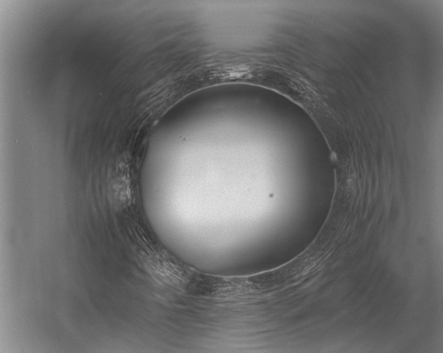 X0000058111442200509231014