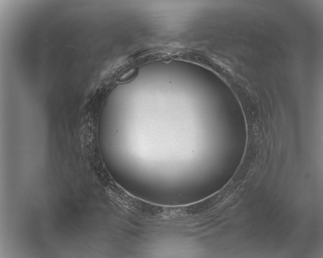 X0000058111447200509231013
