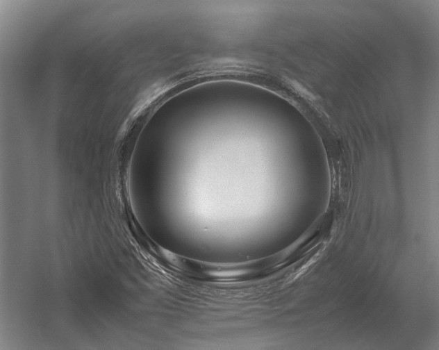 X0000058111453200509231013