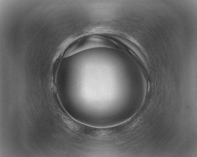 X0000058111461200509231013
