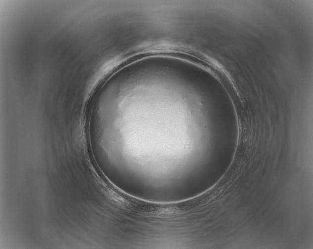 X0000058111464200509231013