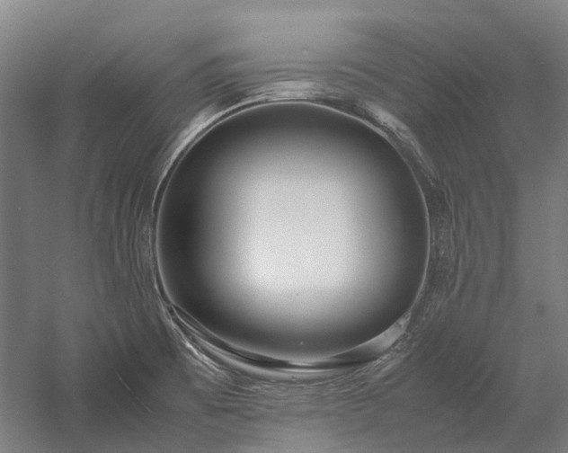 X0000058111473200509231013