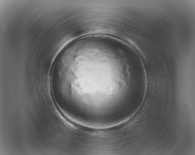 X0000058111476200509231013