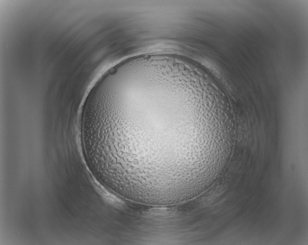 X0000058111478200509231013
