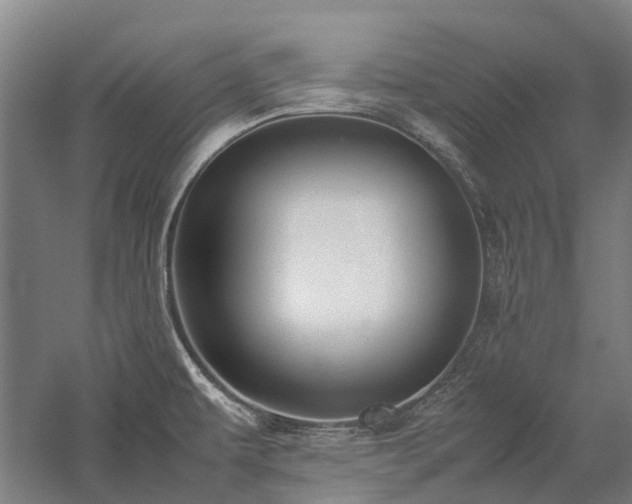 X0000058111479200509231013