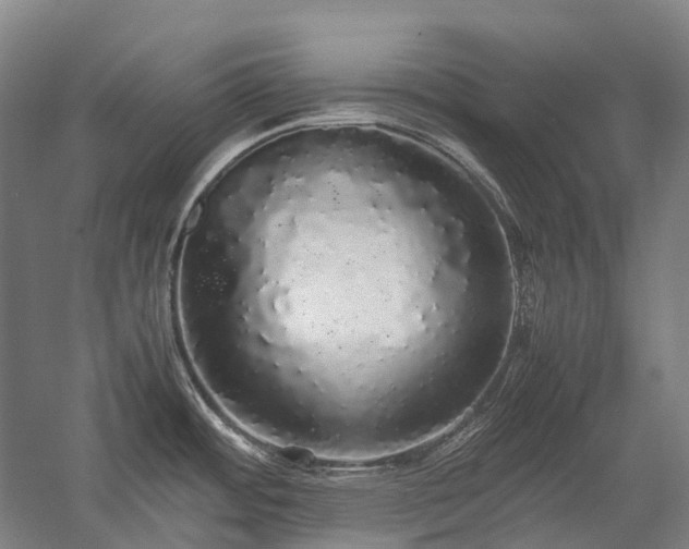 X0000058111484200509231013