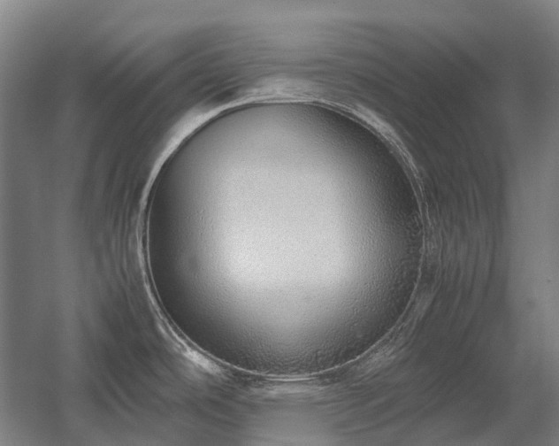 X0000058111486200509231013