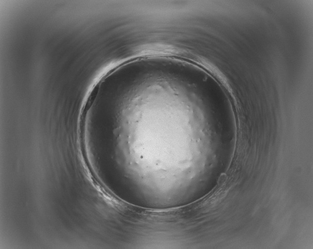 X0000058111488200509231013