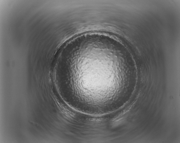X0000058111497200509231012