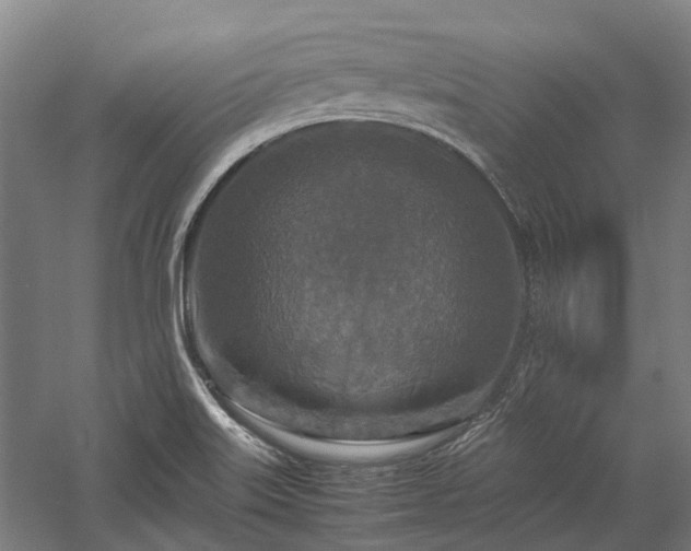 X0000058111515200509231012