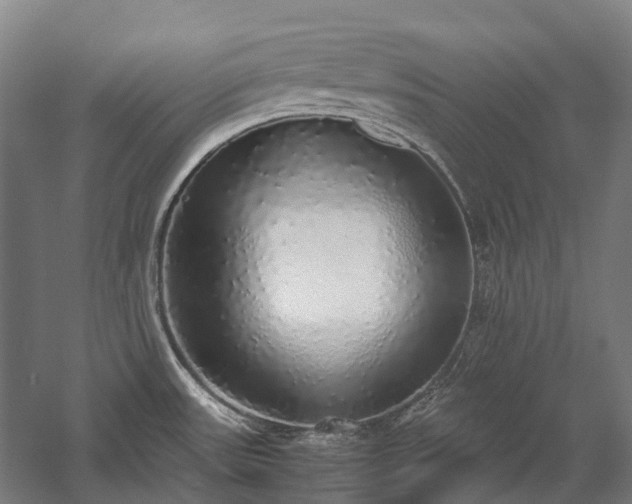 X0000058111531200509231013
