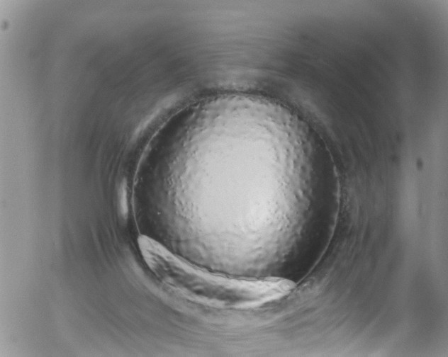 X0000058110020200509261247