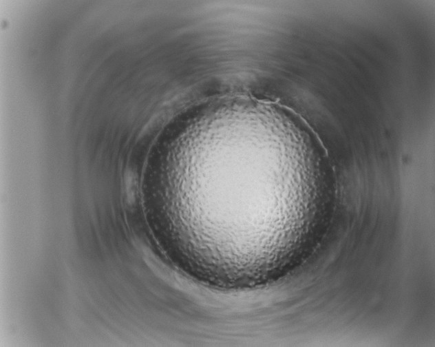 X0000058110038200509261247
