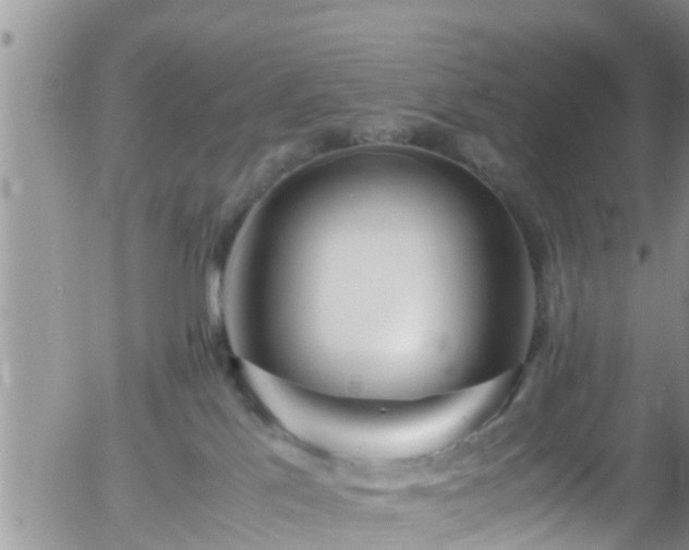 X0000058110041200509261247