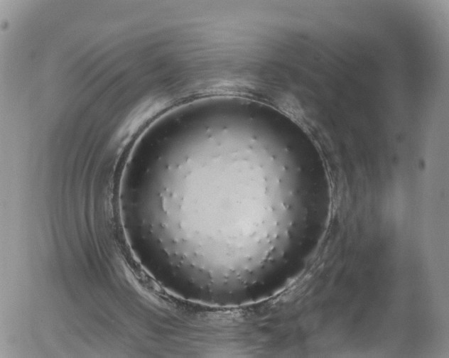 X0000058110050200509261246