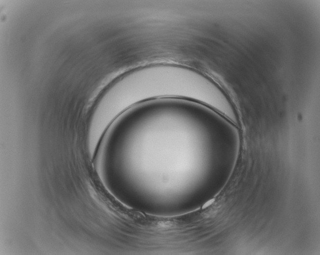X0000058110060200509261246