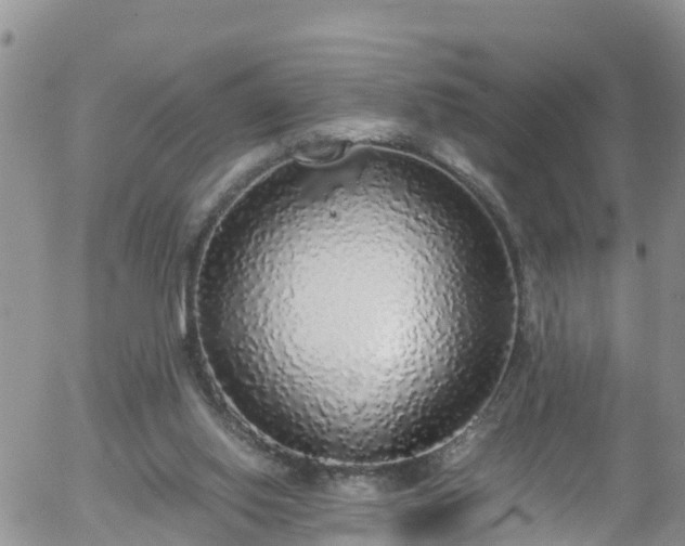 X0000058110062200509261246