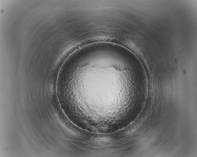 X0000058110063200509261246
