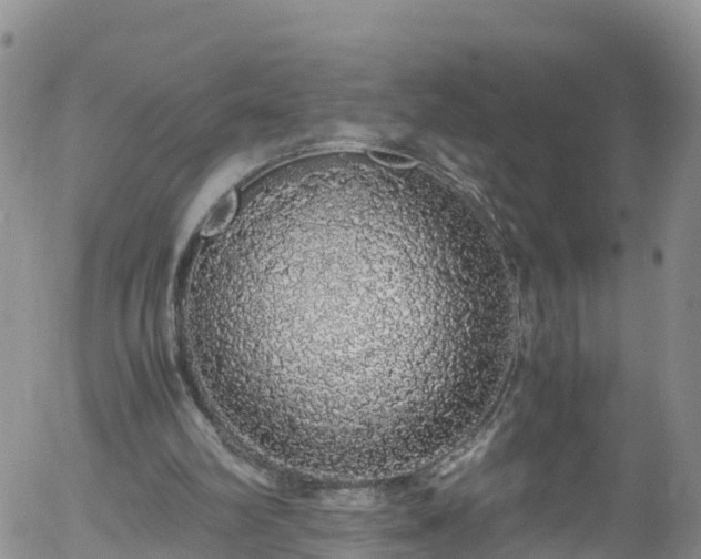 X0000058110102200509261246