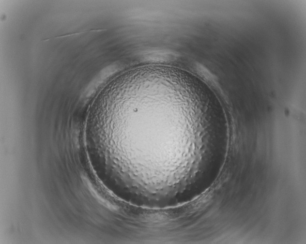 X0000058110106200509261246