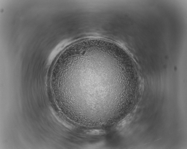 X0000058110151200509261245