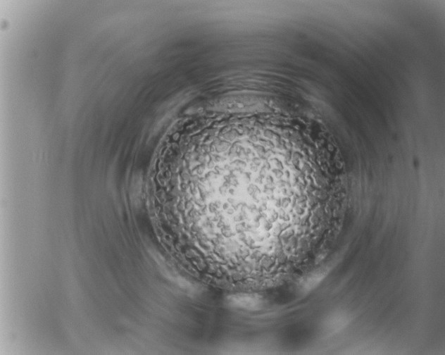 X0000058110189200509261245