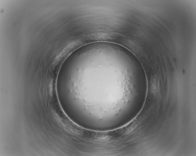 X0000058110206200509261244